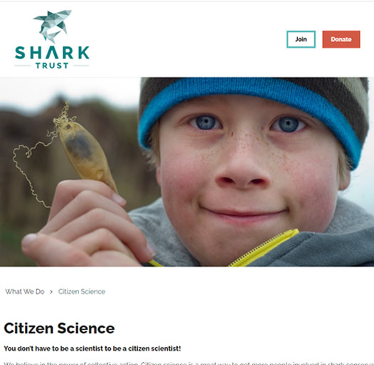 Shark Trust