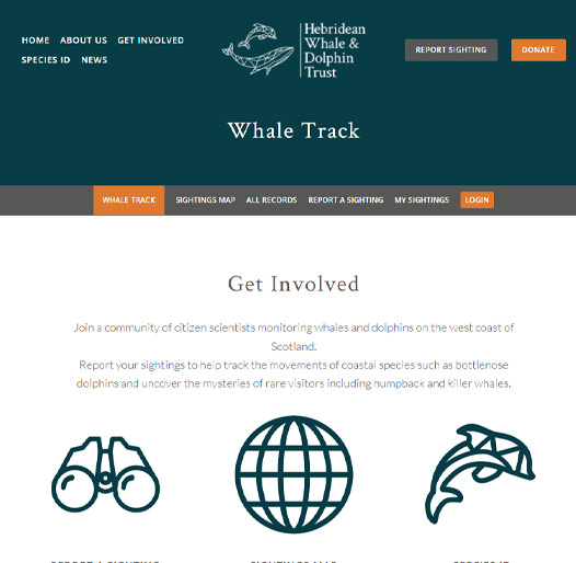 Whale Track
