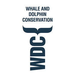 Whale and dolphin conservation